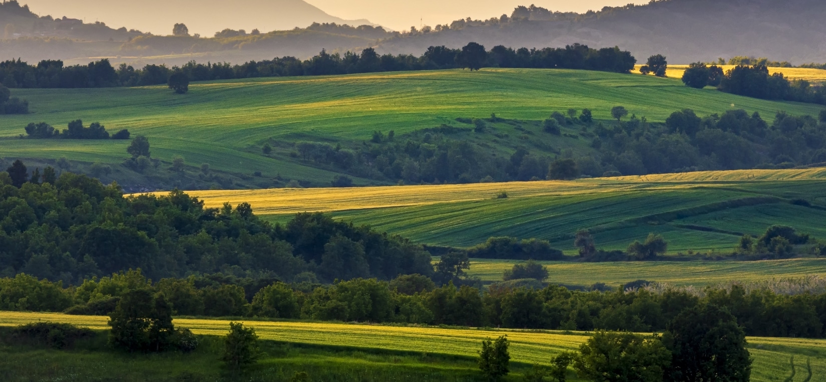 campagne - paysage
